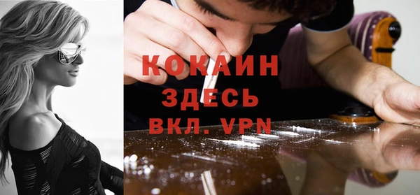 сатива Богородицк