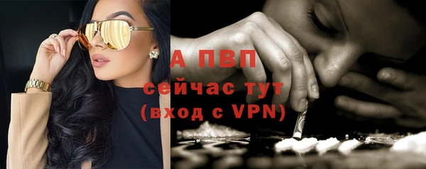 сатива Богородицк