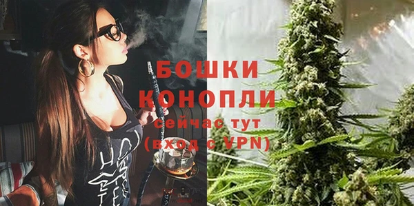 сатива Богородицк