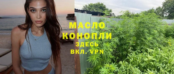spice Богородск