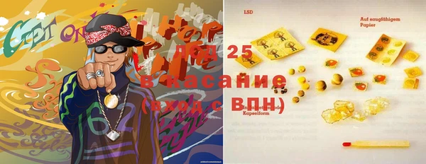 spice Богородск